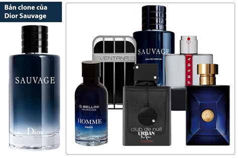 sauvage von dior la rive|best dior sauvage clones reddit.